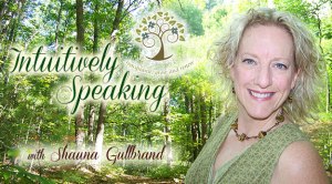 Gullbrand-player-wide